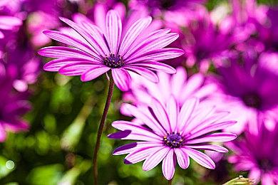 《魔兽世界》新服务器名称确定：吉安娜与死亡猎手